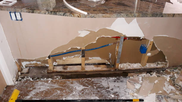 Best Mold removal after water damage  in Guthrie, KY