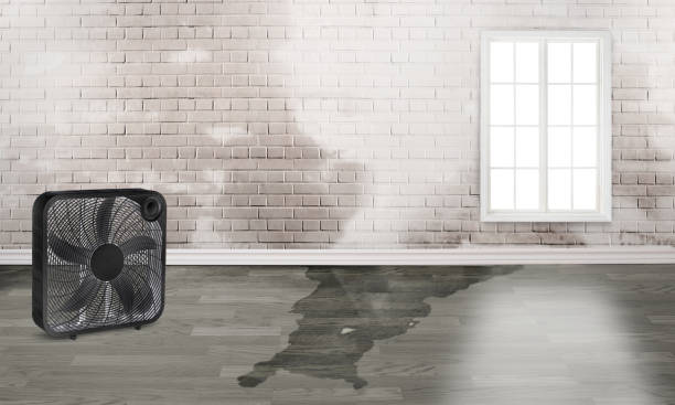 Trusted Guthrie, KY Water damage restoration Experts