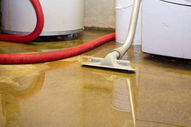 Best Commercial water damage restoration  in Guthrie, KY