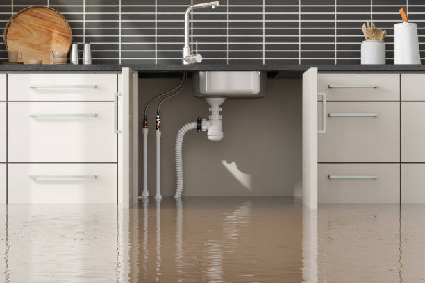 Best Professional water damage repair  in Guthrie, KY