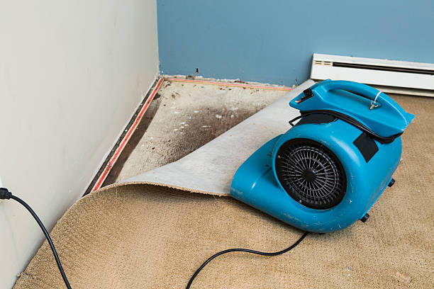 Best Flood restoration services  in Guthrie, KY